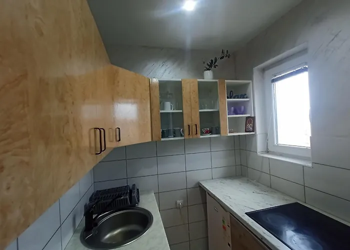 Emilija 소코 반자