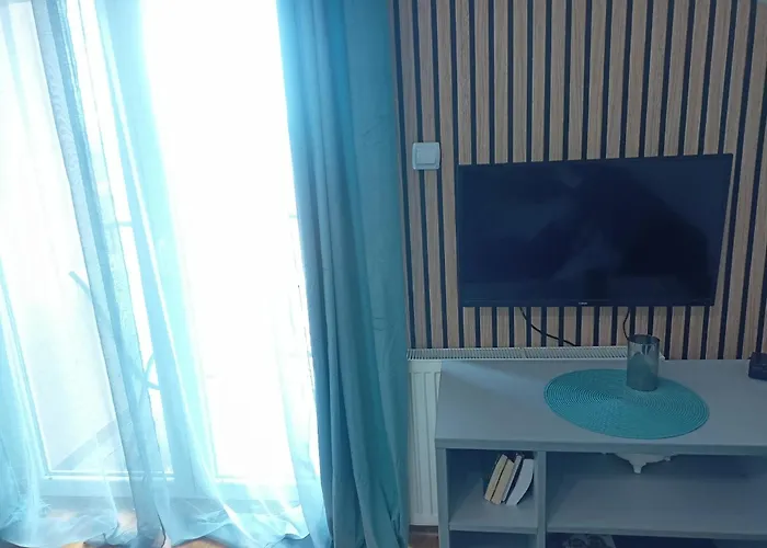 Emilija 소코 반자